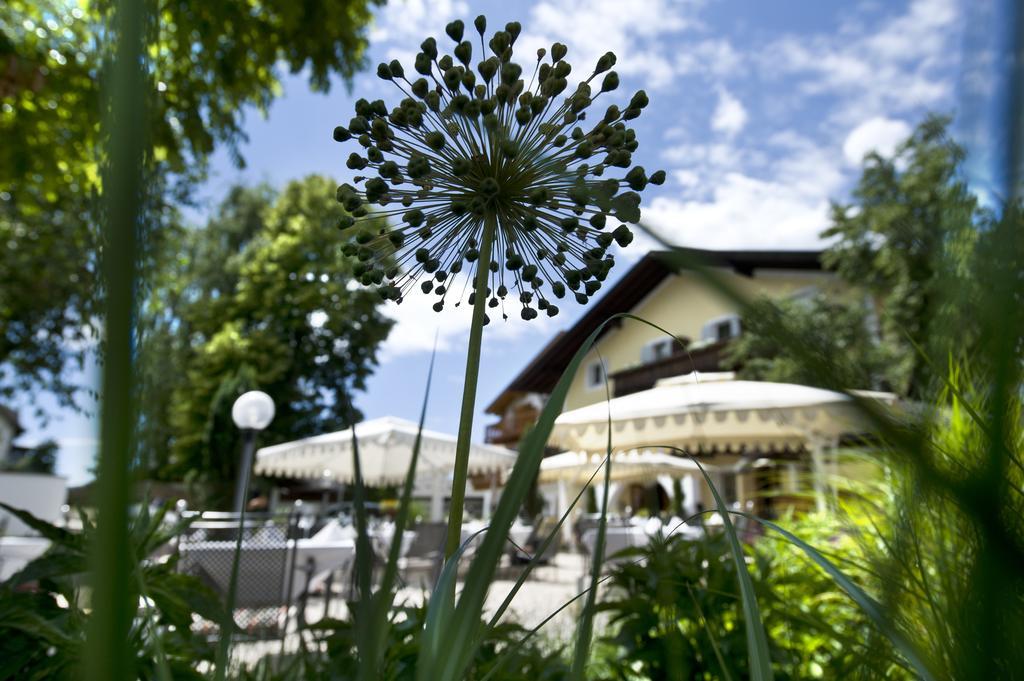 פיה Gartenhotel Voelser Hof - Adults Only מראה חיצוני תמונה